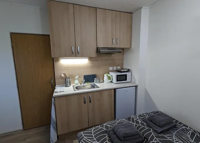 Utulne U Marianskeho Udoli V Brne - Lisni Apartment *