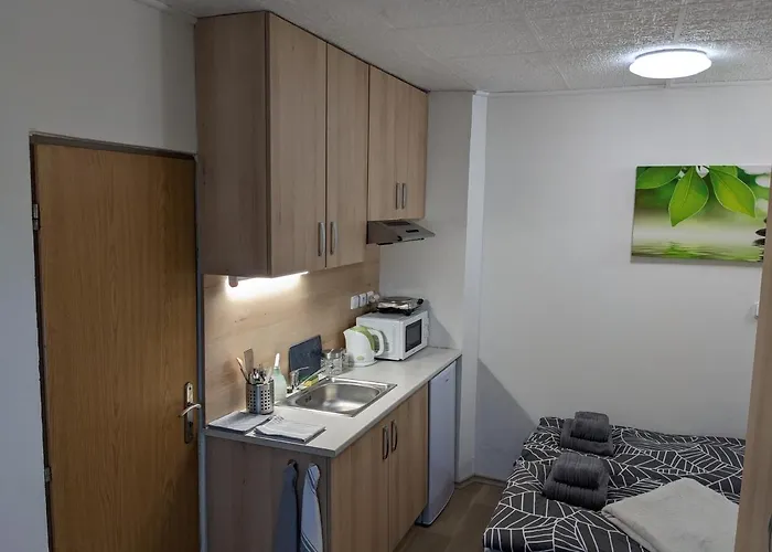 Apartment Utulne U Marianskeho Udoli V Brne - Lisni Brünn